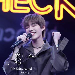 เหนื่อยไหม/累吗—PP Krit &Yum&Zani
