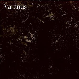 Lament (Son's Last Will)