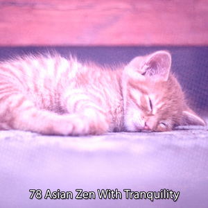 睡眠的补救措施