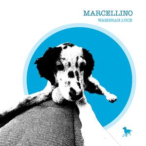 Marcellino