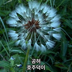 공허