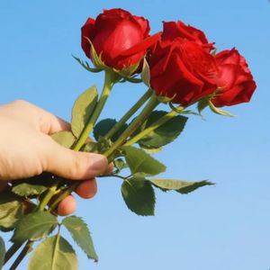 Eng Dardli Qo‘shiq