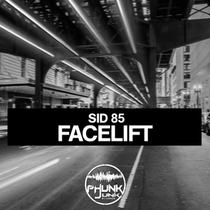 Facelift (Techno Mix)