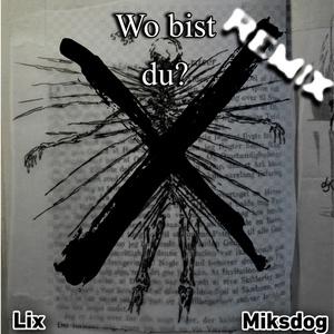 Wo bist du? (Remix)