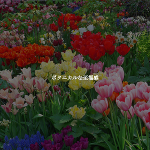 Incredible Backdrops for Romantic Sun