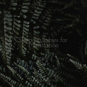 Whispering Palms Lullaby