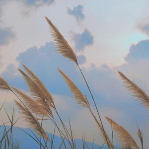 闲观万事岁月长（经典轻音乐）