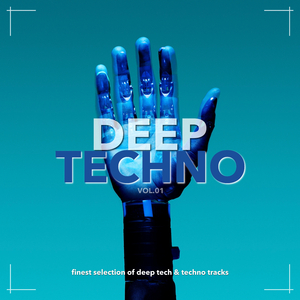 Into the Night (Detire Remix)