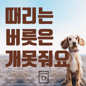 때리는 버릇은 개 못줘요