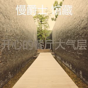 抚慰的酒店酒吧回忆