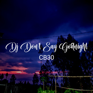 DJ DON'T SAY GOODNIGHT (vers 2)