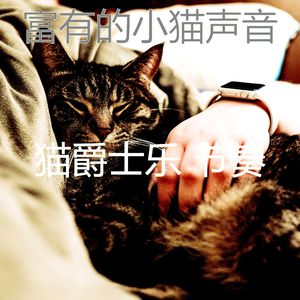 柔和的猫在家时刻
