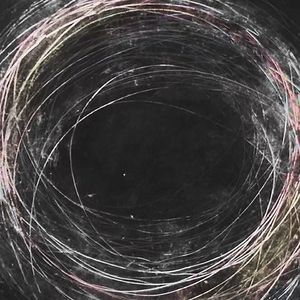 “理想国”杨和苏 X 早安 Type Beat