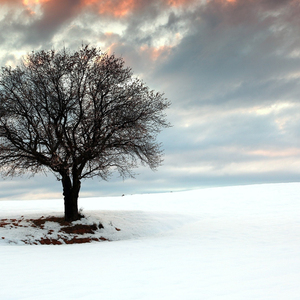 那弯半弦月(伴奏)