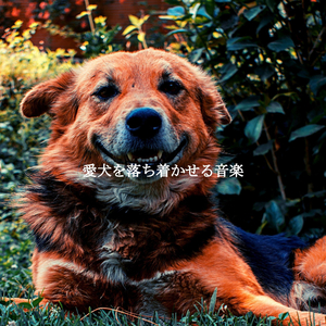 Relaxing (Unwinding Mode)