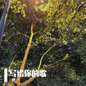 写给你的歌