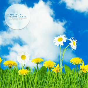 살랑이는 봄바람