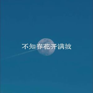 不知春花开满坡