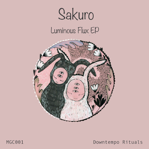 Luminous Flux (AmuAmu Remix)