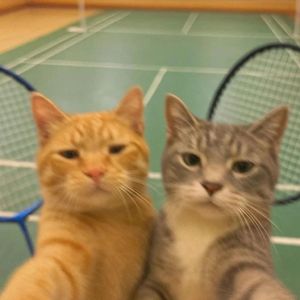 人间无我这盏酒