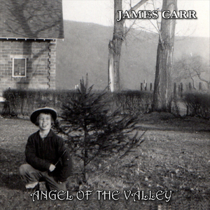 Angel of the Valley