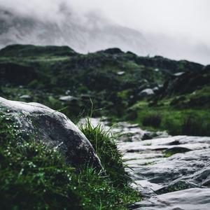 スカンジナビアン クリーク