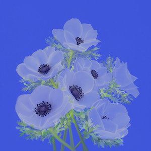 마음은 왜 움직이는 걸까?