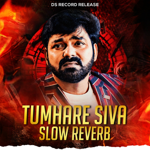 Tumhare Siva (Slow Reverb)