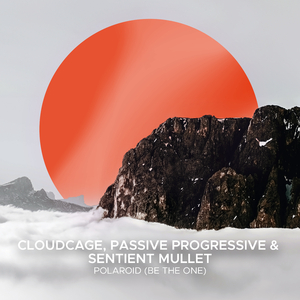 Polaroid (Be The One) (Extended Mix)