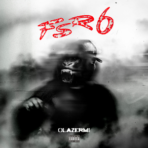 FSR6
