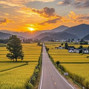 花开时节蝶自来的春日之约