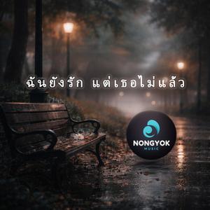 ฉันยังรัก แต่เธอไม่แล้ว