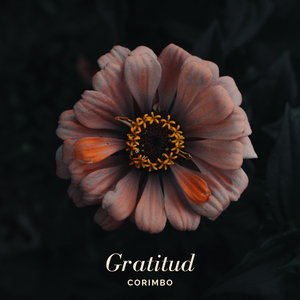 Gratitud