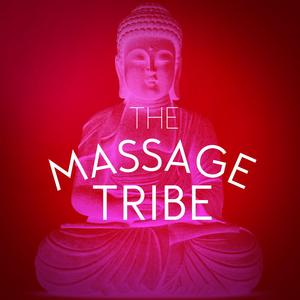 Afternoon Bird Chorus