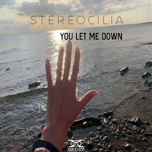 You Let Me Down (Original Mix)