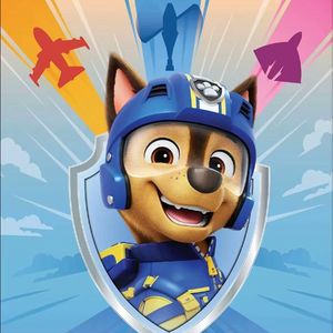 小小电话本领大