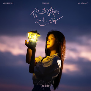 你是我的记忆吗