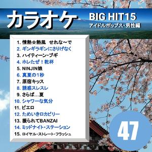 情熱・熱風・せれなーで（カラオケ）