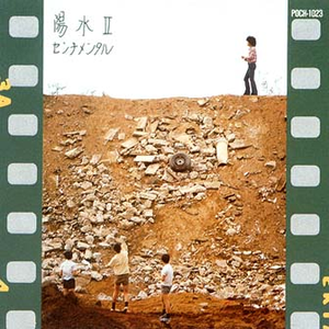 白いカーネーション