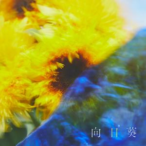 向日葵