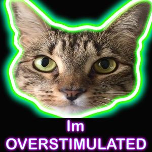 ImOverstimulated