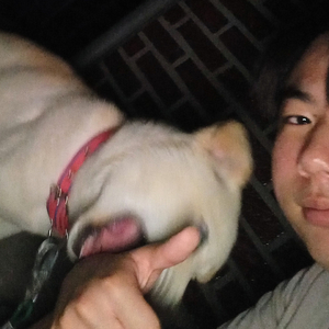 one Shot! (원 샷!)