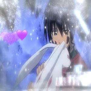 disappear into the fogg