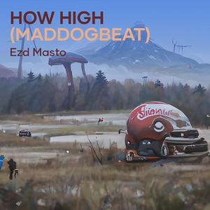 How High (Maddogbeat)