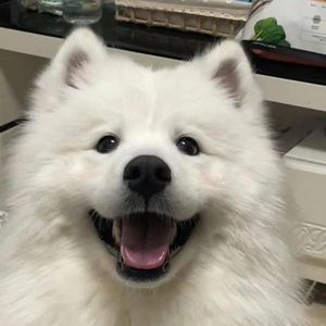 钻石