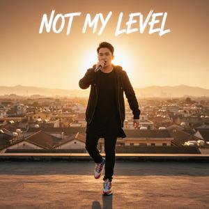 Not My Level