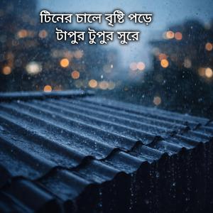 টিনের চালে বৃষ্টি পড়ে টাপুর টুপুর সুরে