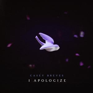 I Apologize