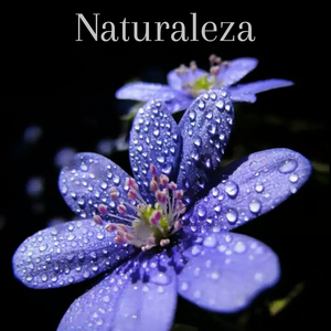 Naturaleza