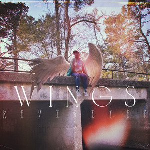 Goodbye 4 Now (Wings)